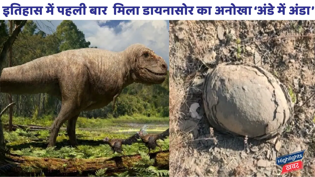 egg-found-inside-dinosaur-egg-in-madhya-pradesh