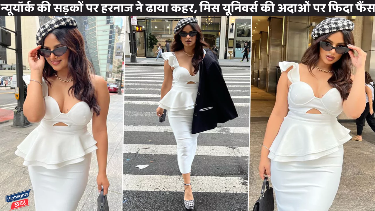 harnaj-sandhu-revealing-dress-photo-in-newyork