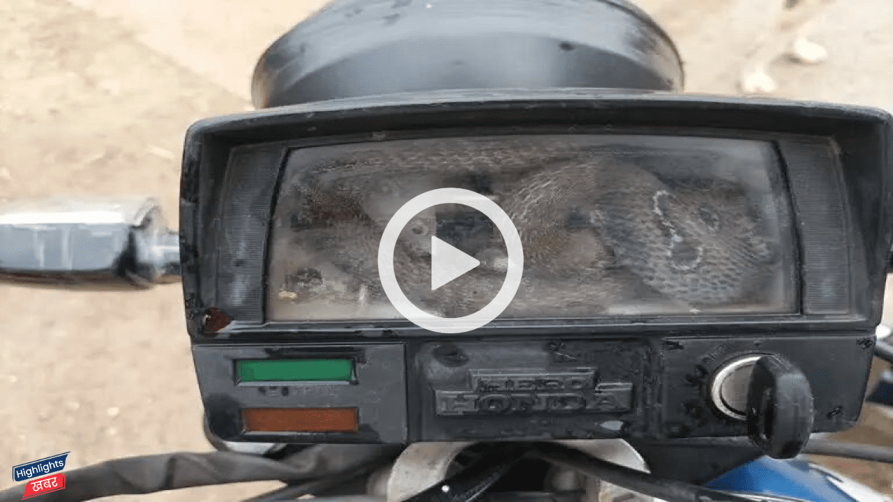 snake-entered-the-speedometre-of-motorcycle-in-narsinghpur-video-went-viral-see-video