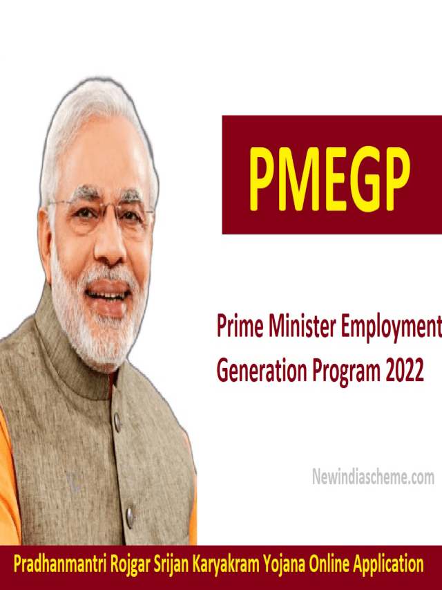PMEGP