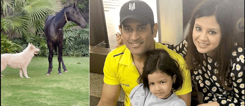 new-guest-comes-in-dhoni-house