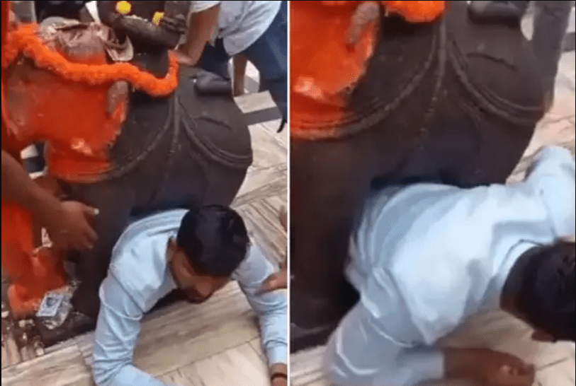 devotee-trapped-between-an-elephant-statue-in-a-temple-in-gujaratvideo-going-viral