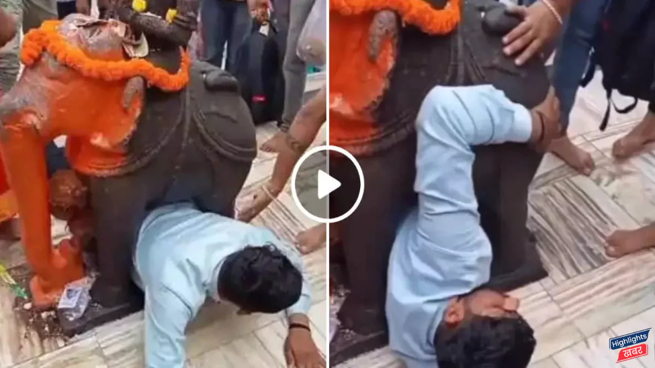 devotee-trapped-between-an-elephant-statue-in-a-temple-in-gujaratvideo-going-viral