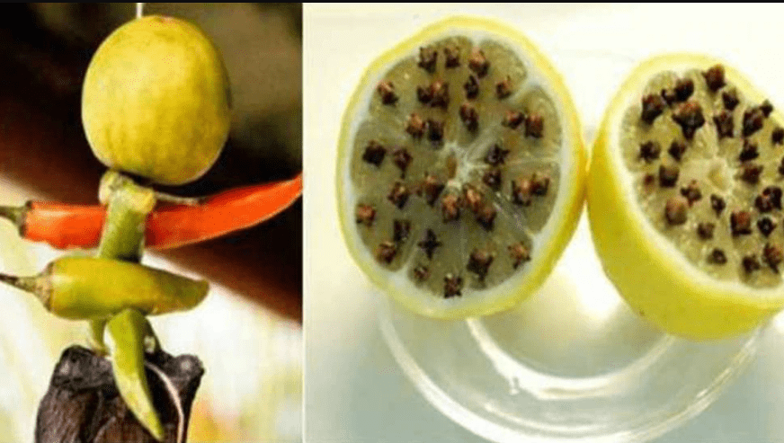 know-four-effective-tricks-of-lemon-which-can-change-your-luck