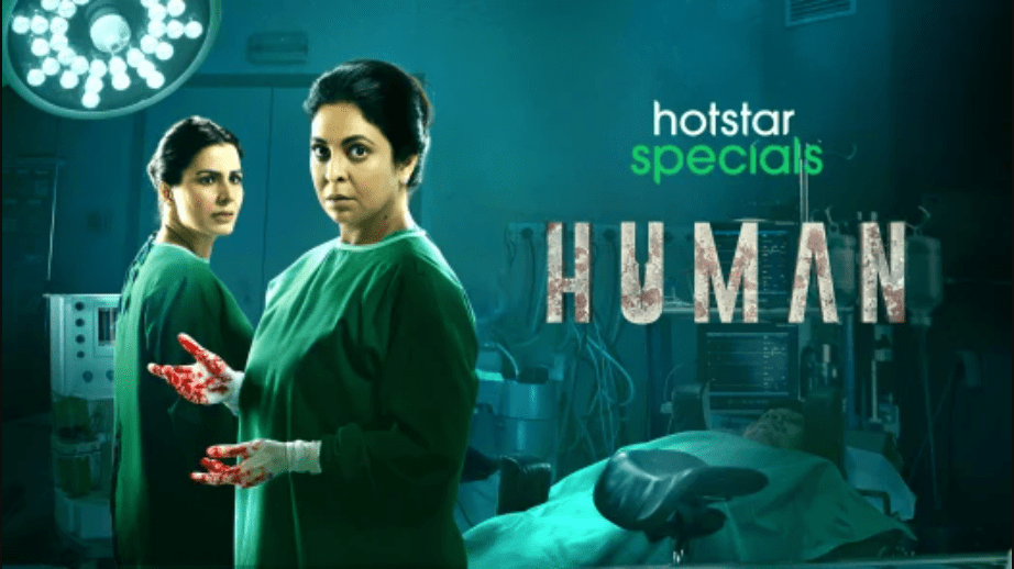 see-here-the-top-hindi-web-series-of-the-year-2022