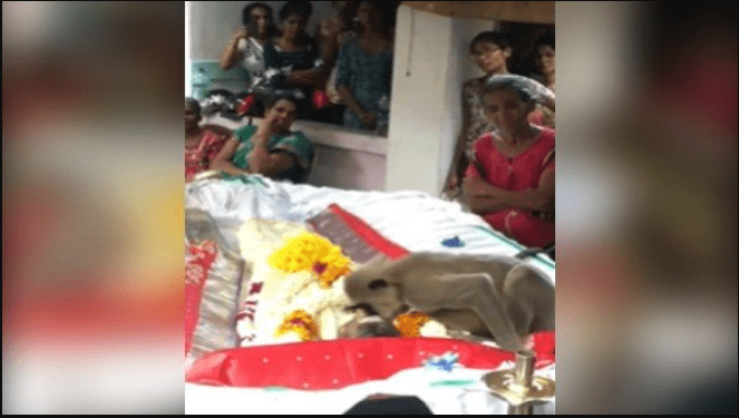 viral-video-the-monkey-was-seen-crying-bitterly-on-the-death-of-his-master