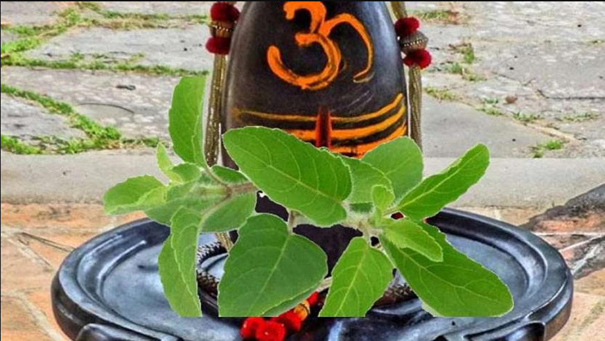 do-not-offer-these-five-things-to-lord-shiva-even-by-mistake